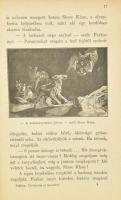 Rudyard Kipling: Történetek az őserdőkből. (Jungle Book.) Ford.: Békési Gyula. Pallagi Gyula bevezet...