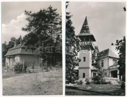 Alsógöd (Göd), strand, villa, Eötvös Lóránd Tudományegyetem biológiai állomása, nyaralók - 5 db MODE...