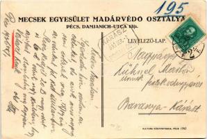 1936 Pécs, Vascsövön lévő műodú a Zrínyi Miklós főreáliskola parkjában. Házi rozsdafarkú fülemüle ta...