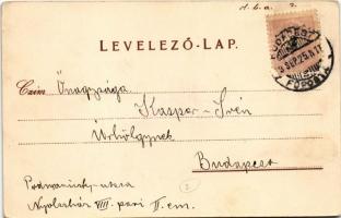 1899 (Vorläufer) Arató. Magyar folklór művészlap. Rigler Részv. Társ. Budapest 3031. / Hungarian fol...