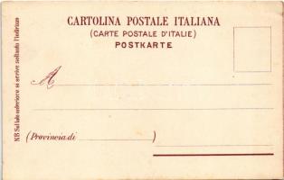 Venezia, Venice; Hotel de l'Europe sur le Grand Canal. Lit. S. Fumagalli Art Nouveau, litho