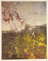 3 évtized - 30 grafika. Bp., 1975, Képzőművészeti Alap Kiadóvállalata, 4 sztl. lev. + 26 t. (7., 11....