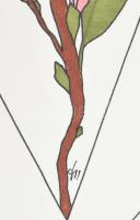 Kun Sarolta (1990-): Zodiákus sorozat: Rák. Vegyes technika, papír, jelzett, felcsavarva, 40x50 cm