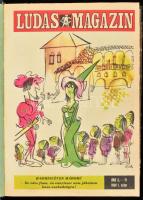 1968-1969 Ludas Magazin, 2 majd nem teljes évfolyama (1968. 1-4, 6-7. sz,1969. 1-9. sz.), 1-1 szám hiányzik (1968. ősz, 1969. 10. sz.), 3 bekötött Kis Ludassal (1965-1967.) Valamint Folytassak Hacsek...! Kamara Varieté füzettel. Átkötött félvászon-kötés, kopott borítóval.
