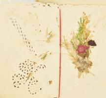 Régi szecessziós üdvözlőlap, kerettel, áttört virágos díszítéssel, belül préselt virágokkal, sérült,...