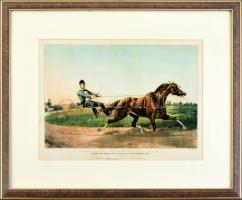 Pocahontas versenyló, nyomat, papír, jelzett a nyomaton, üvegezett fakeretben, 17x26 cm