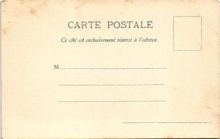 Chamonix, Mont-Blanc, Mer de Glace / glacier hiking, winter sport (EK)