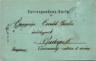 1900 Innsbruck (Tirol), Rudolfs-Brunnen / fountain, square (E)