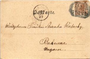 1899 (Vorläufer) Bad Ischl, Blick von Sterzens Abendsitz / general view, bridge (cut)