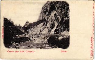 Gesäuse (Steiermark), Brücke / bridge (cut)