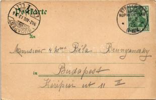 1902 Strasbourg, Strassburg; Fuchs am Buckel (EK)