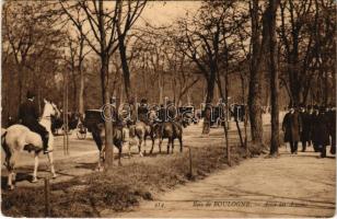 1909 Paris, Bois de Boulogne, Allée des Acacias / avenue, automobiles (EK)