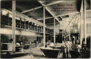 1906 Dresden, Weisser Hirsch (Weißer Hirsch); Lahmann&#039;s Sanatorium, Inneres des neuen Herrenbades / sanatorium, interior, men&#039;s bath (EK)