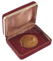 Japán 1964. "Kanagawa prefektúra - Iwataro Uchiyama kormányzó" kétoldalas bronz emlékérem ...