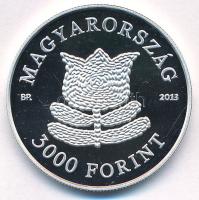 2013. 3000Ft Ag "A magyar táncház módszer" kapszulában, tanúsítvánnyal T:PP
Adamo EM256