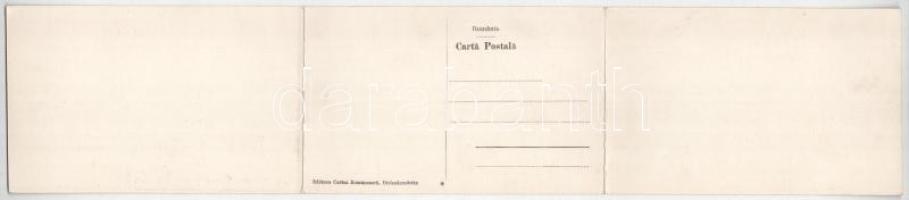 Dicsőszentmárton, Tarnaveni, Diciosanmartin; nitrogén gyár. 3 részes kihajtható panorámalap / Vedere...