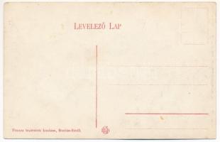 Buziásfürdő, Baile Buzias; Mihály-forrás, gólya. Francz testvérek kiadása / spa, spring source with ...