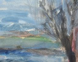 Fehér László (1953-): Viharos táj. Akvarell, papír. Jelzett. 37x50 cm Üvegezett keretben