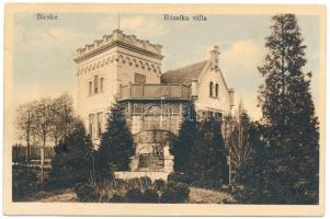 1913 Bicske, Rózsika villa (ázott / wet damage)