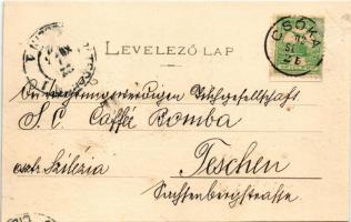 1902 Csóka, Coka (Torontál); Római katolikus és görögkeleti templom, Uradalmi kastély, M. kir. posta...