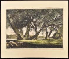1952 Kaveczky Zoltán (1897-1965): Tiszaparti fűzfás. Színezett rézkarc, papír, jelzéssel, 28x39 cm