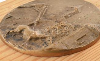 Kaubek Péter (1942- ): Ló házakkal. Bronz plakett, fa lapra applikálva, képcsarnokos címkével, 10x9,...