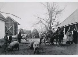 cca 1937 Tanyaudvar valahol Bács-Kiskunban, Lőcsei Árpád (?-?) kecskeméti vándorfényképész hagyatékából 1 db modern nagyítás, jelzés nélkül, 15x21 cm