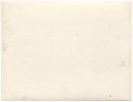 K.u.K. Kriegsmarine Weichselflottille SMS NEPTUN / WWI Austro-Hungarian Navy Vistula Flotilla with s...