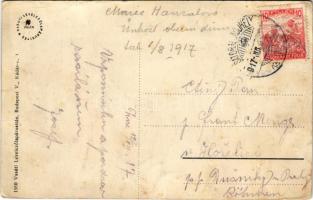 1917 Sátoraljaújhely, M. kir. állami borpince. Vasúti levelezőlapárusítás 1580. (EB)