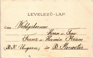 1903 Pécs, látkép. litho s: H. Deininger (b)