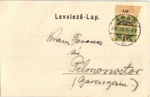 1905 Arad, Vesztőhely / monument (EK)