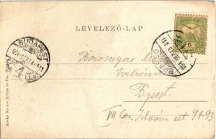 1904 Brassó, Kronstadt, Brasov; Árpád szobor. Kovács Miklós és Társa kiadása / Árpád-Monument / Hung...