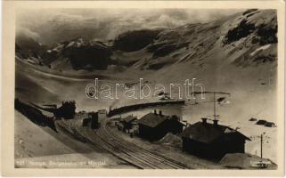 Myrdal, Begensbanen / mountain railway station, train, locomotive