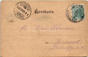 1900 Innsbruck (Tirol), Maria-Theresienstrasse / street view (tear)