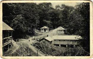 Zányka-fürdő, Zanka Kúpele; fürdő / spa, bath (EM)