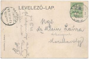 1909 Resicabánya, Resica, Resicza, Resita; Dománi-völgy. Braumüller L. kiadása / Dománer Tal / Doman...