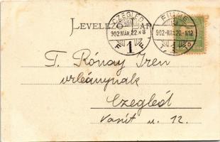 1902 K.u.K. Kriegsmarine S.M. Torpedoboot IX - 100 Tage / Cs. és kir. haditengerészet SM Tb IX torpe...