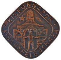 ~1980. "Kiskun napok - Kiskunfélegyháza" fém emlékplakett (87x87mm) T:XF