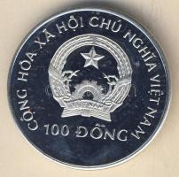 Vietnám 1992. 100Đ Ag "Labdarúgó VB" T:PP