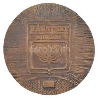 DN "Rábatext - Győr" bronz emlékplakett (90mm) T:XF