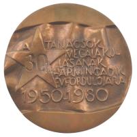 1980. "A Tanácsok Megalakulásának 30. évfordulójára 1950-1980" bronz emlékplakett (97mm) T:AU