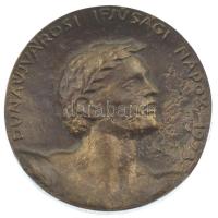 1973. "Dunaújvárosi Ifjúsági Napok" bronz emlékplakett (95mm) T:XF,VF