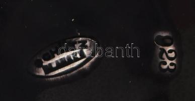 Schütz Blansko fajansz dísztál. Jelzett, pereménél kis javítással, kopással, d: 27,5 cm