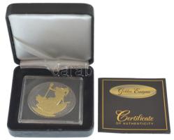 Nagy-Britannia 2015. 2P Ag "Britannia" ruténiummal és arannyal színezett, dísztokban, tanú...