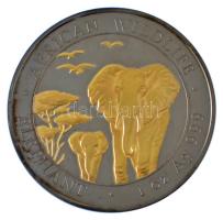 Szomália 2015. 100Sh Ag "Elefánt" ruténiummal és arannyal színezett, dísztokban, tanúsítvánnyal T:UNC patina Somalia 2015. 100 Shillings Ag "Elephant" colored with Ruthenium and partially gilt, in display case with certificate C:UNC patina