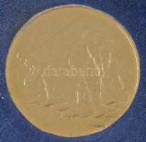 ~2002. Az Árvíz- és Belvízvédekezésért - A Vízügyi Szolgálattól aranyozott bronz emlékérem, bársony borítású dísztokban, nem adományozott (29mm) T:UNC