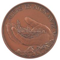 DN Áldás és átok a víz / A Közlekedési és Vízügyi Minisztertől bronz emlékérem (42,5mm) + miniatűr bronz jelvény (10mm) közös, bársony borítású A vizek kártételei elleni védekezésért dísztokban T:UNC