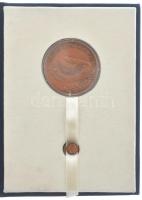 DN "Áldás és átok a víz / A Közlekedési és Vízügyi Minisztertől" bronz emlékérem (42,5mm) ...