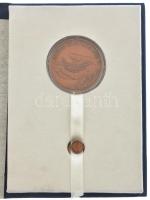 DN "Áldás és átok a víz / A Közlekedési és Vízügyi Minisztertől" bronz emlékérem (42,5mm) ...