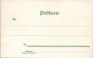 Amerikanisches Gespann. 2 Pferde der Hohen-Schule. Rennen zwischen Schelläufer u. Pferd. Das reiterl...